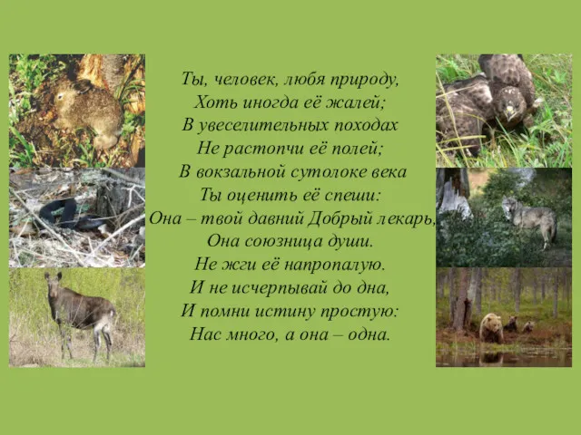 Ты, человек, любя природу, Хоть иногда её жалей; В увеселительных