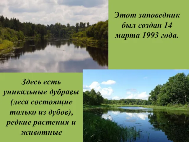 Здесь есть уникальные дубравы (леса состоящие только из дубов), редкие