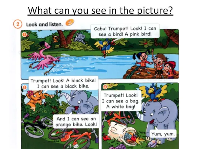 What can you see in the picture?