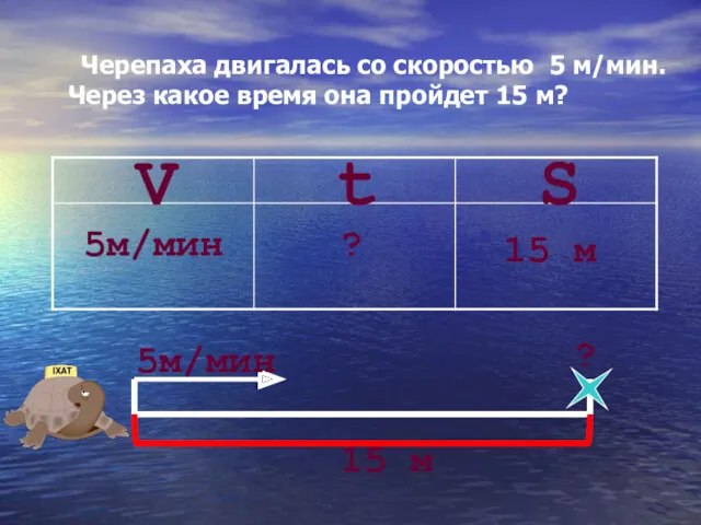 Черепаха двигалась со скоростью 5 м/мин. Через какое время она