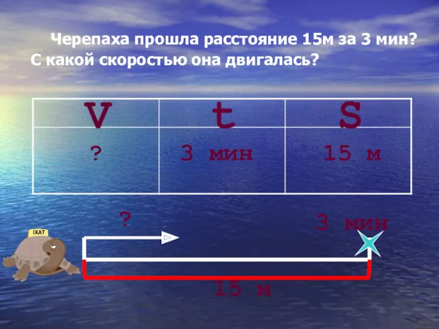 Черепаха прошла расстояние 15м за 3 мин? С какой скоростью