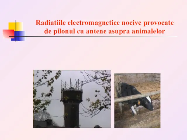 Radiatiile electromagnetice nocive provocate de pilonul cu antene asupra animalelor
