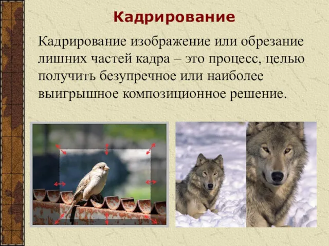 Кадрирование Кадрирование изображение или обрезание лишних частей кадра – это