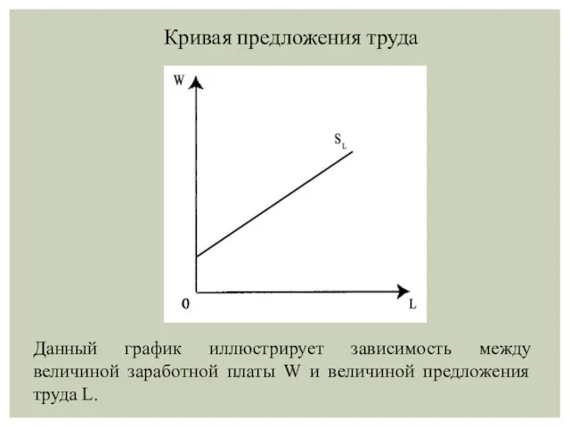 Данный график иллюстрирует зависимость между величиной заработной платы W и