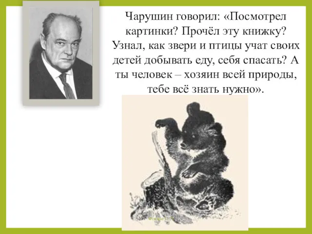 Чарушин говорил: «Посмотрел картинки? Прочёл эту книжку? Узнал, как звери и птицы учат