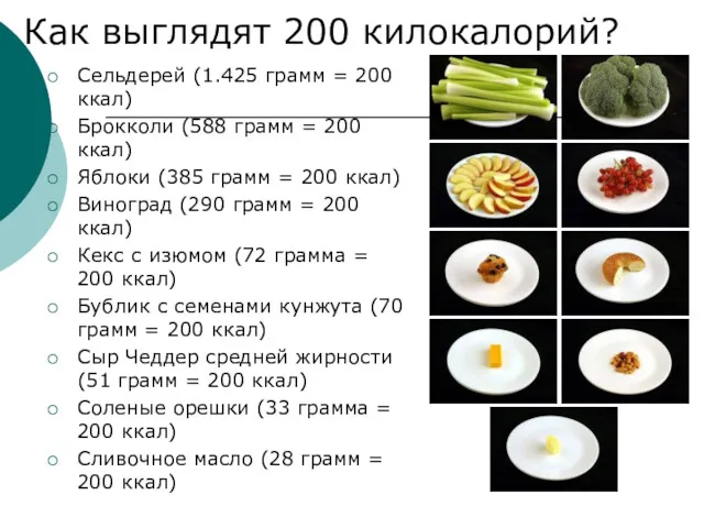 Как выглядят 200 килокалорий? Сельдерей (1.425 грамм = 200 ккал)