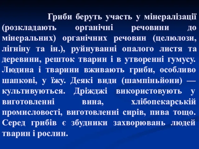 Гриби беруть участь у мінералізації (розкладають органічні речовини до мінеральних)