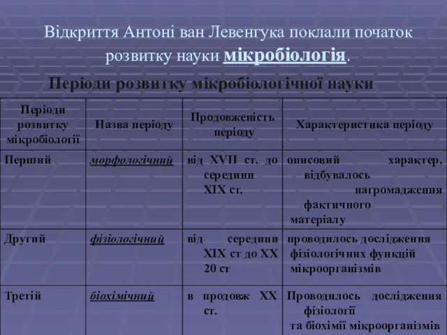 Відкриття Антоні ван Левенгука поклали початок розвитку науки мікробіологія. Періоди розвитку мікробіологічної науки