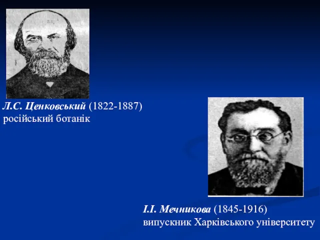 Л.С. Ценковський (1822-1887) російський ботанік І.І. Мечникова (1845-1916) випускник Харківського університету