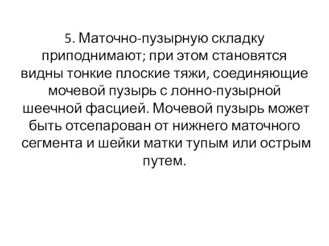 5. Маточно-пузырную складку приподнима­ют; при этом становятся видны тонкие плоские