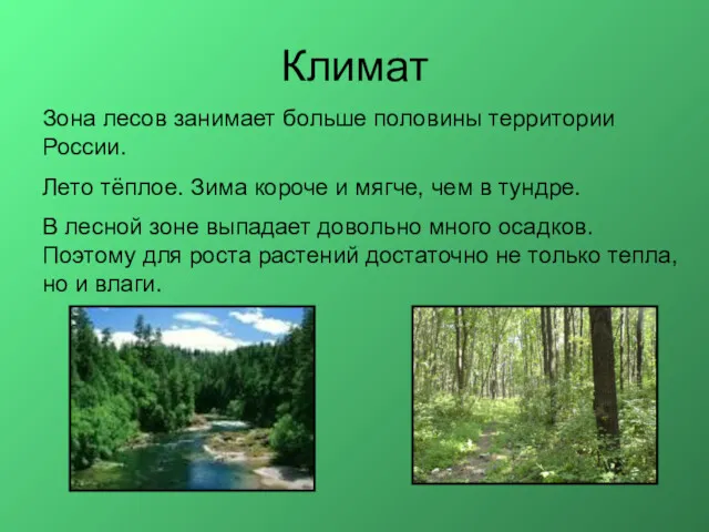 Климат Зона лесов занимает больше половины территории России. Лето тёплое. Зима короче и