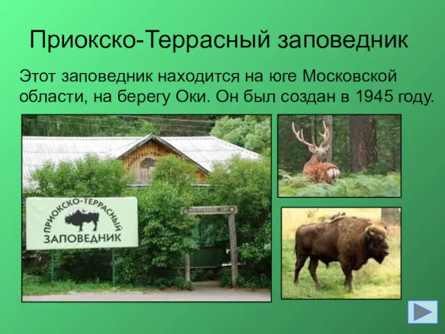 Приокско-Террасный заповедник Этот заповедник находится на юге Московской области, на берегу Оки. Он