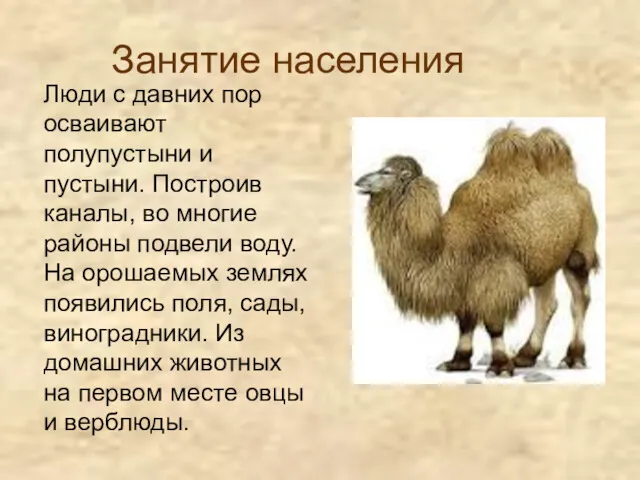 Занятие населения Люди с давних пор осваивают полупустыни и пустыни. Построив каналы, во