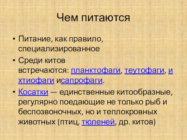 Чем питаются Питание, как правило, специализированное Среди китов встречаются: планктофаги,