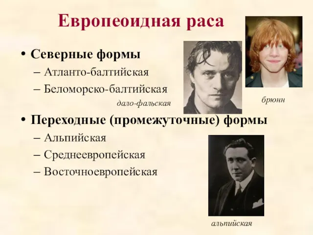 Европеоидная раса Северные формы Атланто-балтийская Беломорско-балтийская дало-фальская Переходные (промежуточные) формы Альпийская Среднеевропейская Восточноевропейская брюнн альпийская