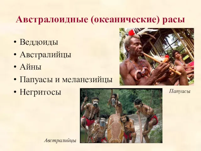 Австралоидные (океанические) расы Веддоиды Австралийцы Айны Папуасы и меланезийцы Негритосы Папуасы Австралийцы