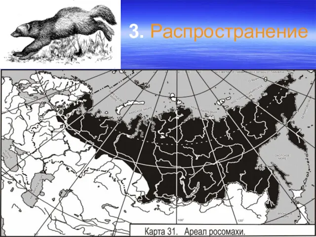 3. Распространение