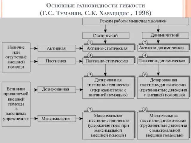 Основные разновидности гибкости (Г.С. Туманян, С.К. Харацидис , 1998)