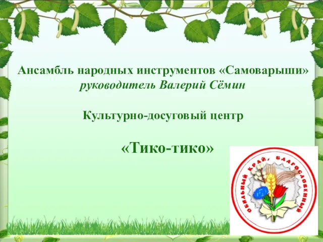 Ансамбль народных инструментов «Самоварыши» руководитель Валерий Сёмин Культурно-досуговый центр «Тико-тико»