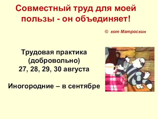 Совместный труд для моей пользы - он объединяет! © кот