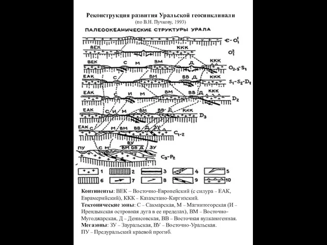 Реконструкция развития Уральской геосинклинали (по В.Н. Пучкову, 1993) Континенты: ВЕК