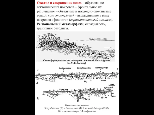 Сжатие и сокращение пояса – образование тектонических покровов – фронтальное
