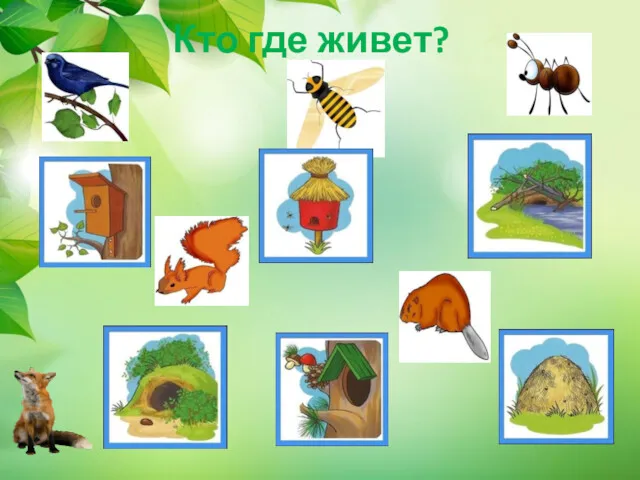 Кто где живет?