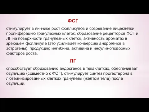 ФСГ стимулирует в яичнике рост фолликулов и созревание яйцеклетки, пролиферацию