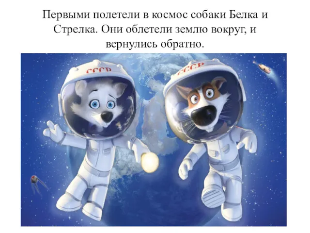 Первыми полетели в космос собаки Белка и Стрелка. Они облетели землю вокруг, и вернулись обратно.