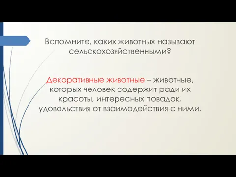 Вспомните, каких животных называют сельскохозяйственными? Декоративные животные – животные, которых