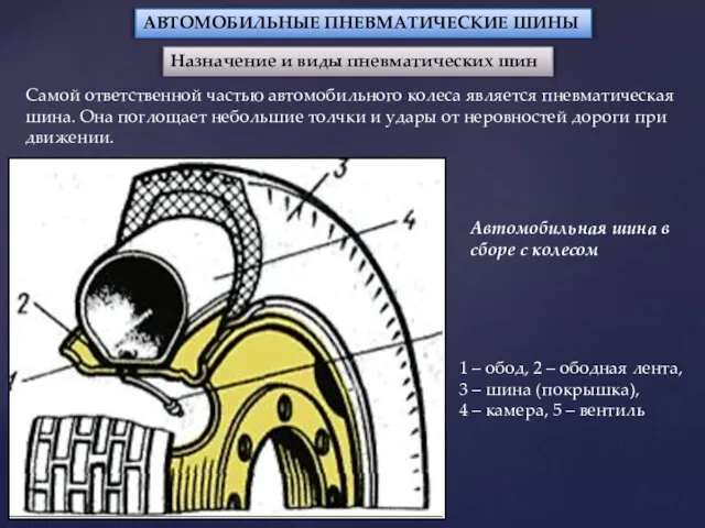 АВТОМОБИЛЬНЫЕ ПНЕВМАТИЧЕСКИЕ ШИНЫ Назначение и виды пневматических шин Самой ответственной частью автомобильного колеса
