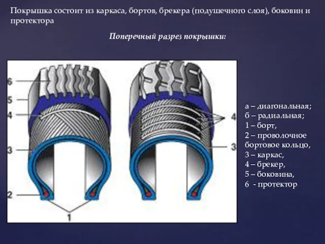 Покрышка состоит из каркаса, бортов, брекера (подушечного слоя), боковин и протектора Поперечный разрез