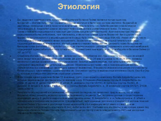 Этиология До недавнего времени считалось, что возбудителем болезни Лайма является только один вид