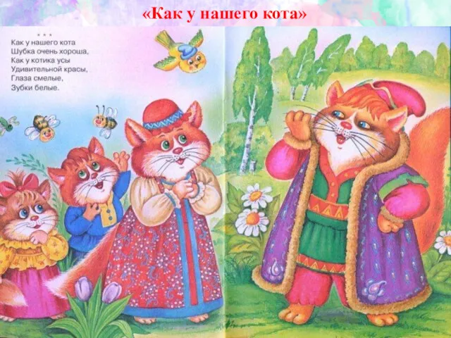 «Как у нашего кота»