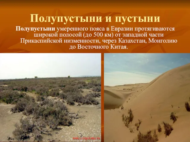 Полупустыни и пустыни Полупустыни умеренного пояса в Евразии протягиваются широкой полосой (до 500