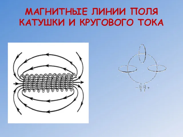 МАГНИТНЫЕ ЛИНИИ ПОЛЯ КАТУШКИ И КРУГОВОГО ТОКА