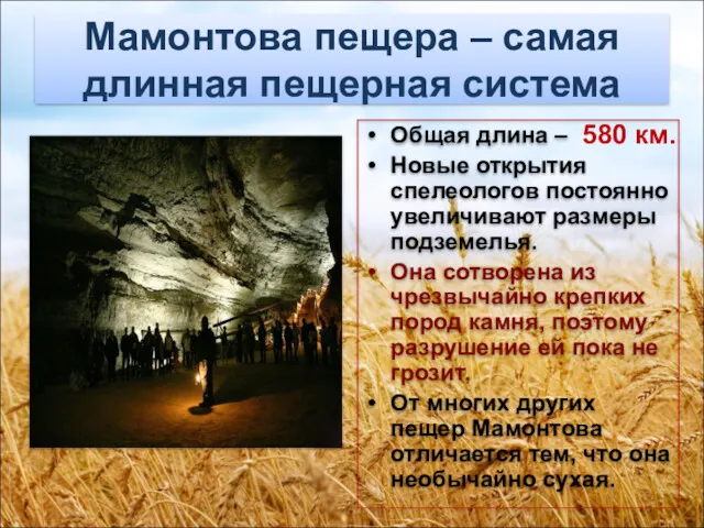 Мамонтова пещера – самая длинная пещерная система Общая длина –