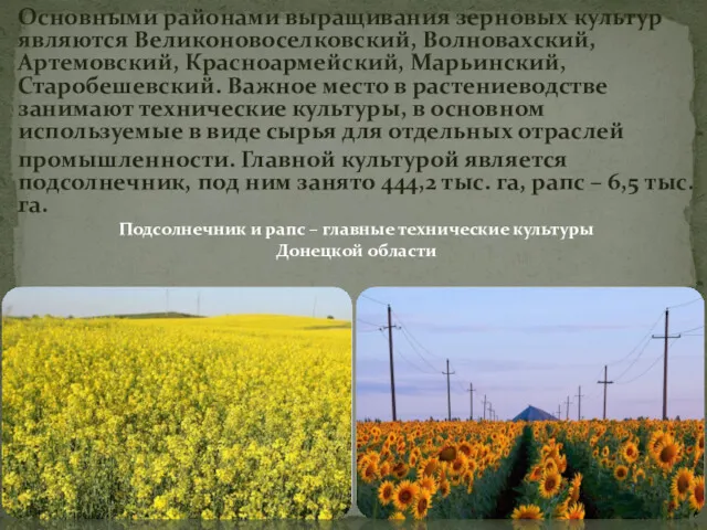 Основными районами выращивания зерновых культур являются Великоновоселковский, Волновахский, Артемовский, Красноармейский,