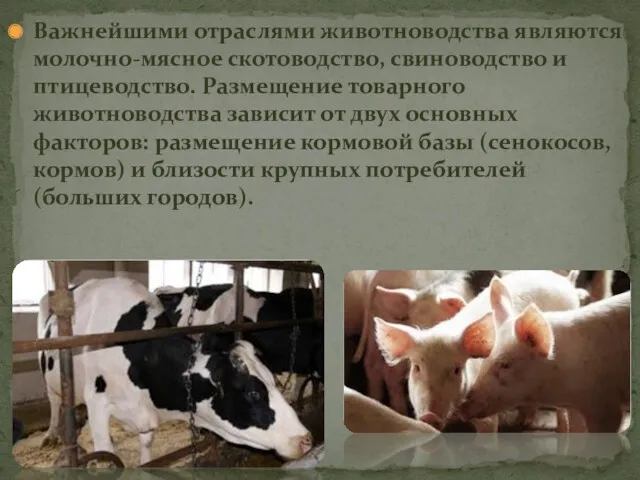 Важнейшими отраслями животноводства являются молочно-мясное скотоводство, свиноводство и птицеводство. Размещение