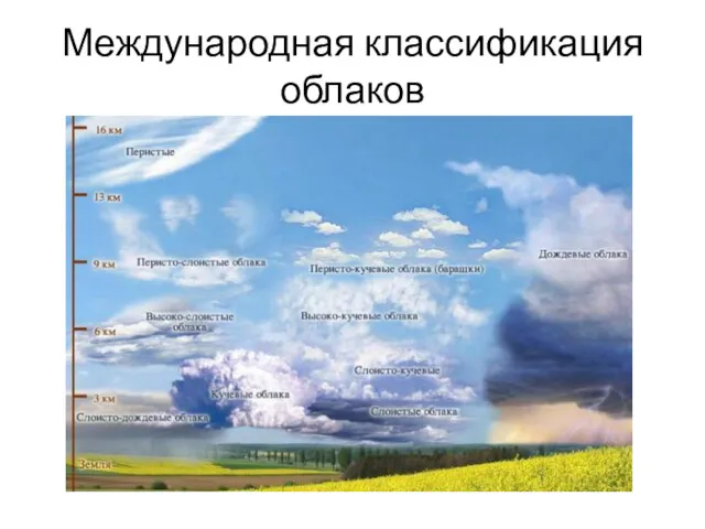 Международная классификация облаков