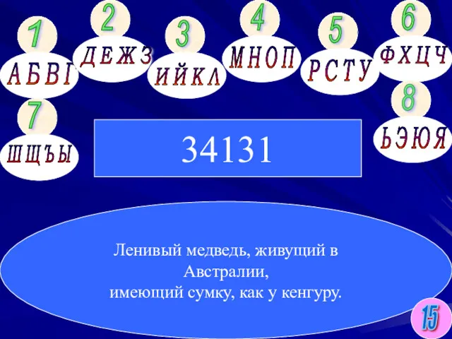 Ленивый медведь, живущий в Австралии, имеющий сумку, как у кенгуру. 34131 15