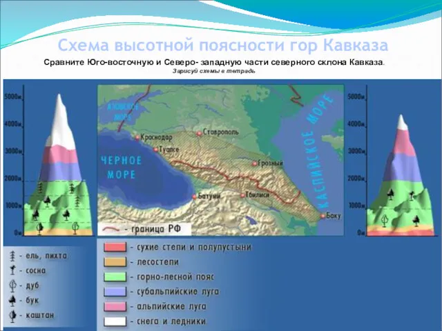 Схема высотной поясности гор Кавказа Сравните Юго-восточную и Северо- западную