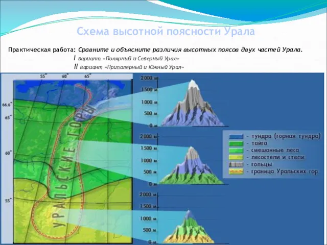 Схема высотной поясности Урала Практическая работа: Сравните и объясните различия