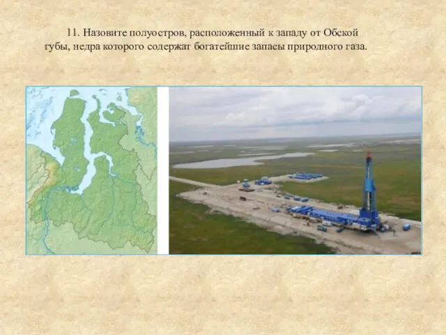 11. Назовите полуостров, расположенный к западу от Обской губы, недра которого содержат богатейшие запасы природного газа.