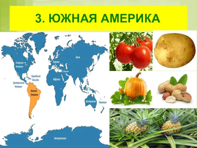 3. ЮЖНАЯ АМЕРИКА