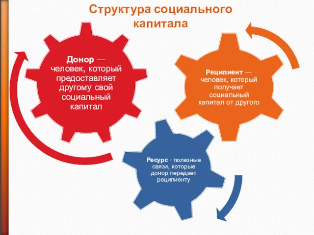 Структура социального капитала