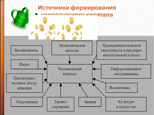 Источники формирования человеческого капитала