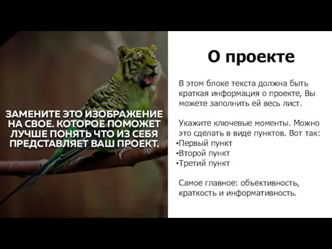 В этом блоке текста должна быть краткая информация о проекте, Вы можете заполнить