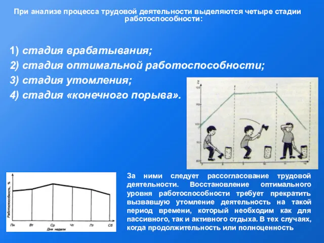 При анализе процесса трудовой деятельности выделяются четыре стадии работоспособности: 1) стадия врабатывания; 2)