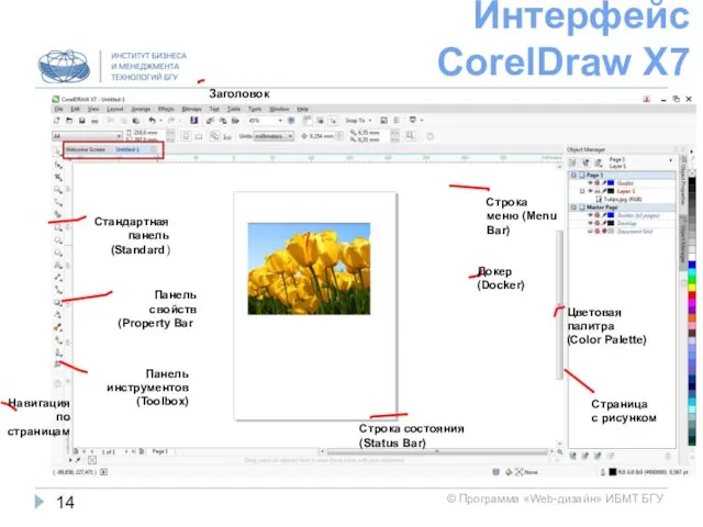 Интерфейс CorelDraw X7 Панель инструментов (Toolbox) Панель свойств (Property Bar)